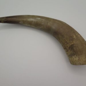 one animal horn